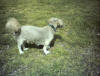 Thumbnail naar een foto van een zwangere Beauty al kun je dat nauwelijks zien ;-)