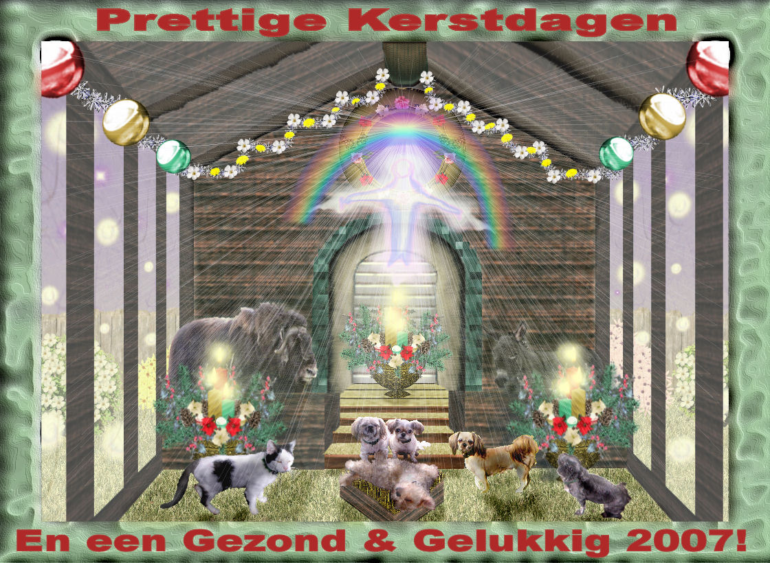 Kerstkaart/Christmas Card 2006 (feel free to save!)