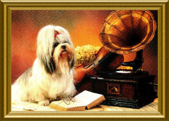 Plaatje "The Master's Voice" met een Shih Tzu